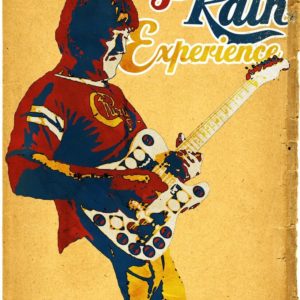 Terry Kath Experience movie