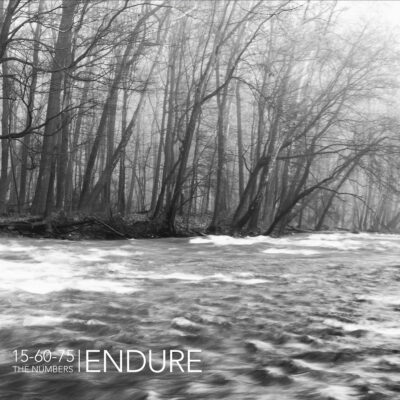 thenumbers-endure