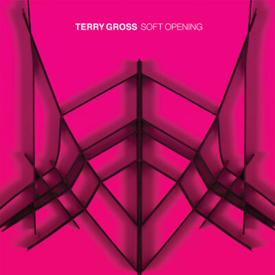 TerryGross-Soft Opening cover