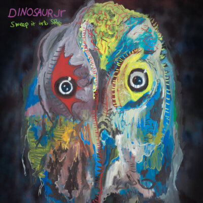 DinosaurJrjag366.dino.sweepit.fc.3000 DinosaurJrjag366.dino.sweepit.fc.3000
