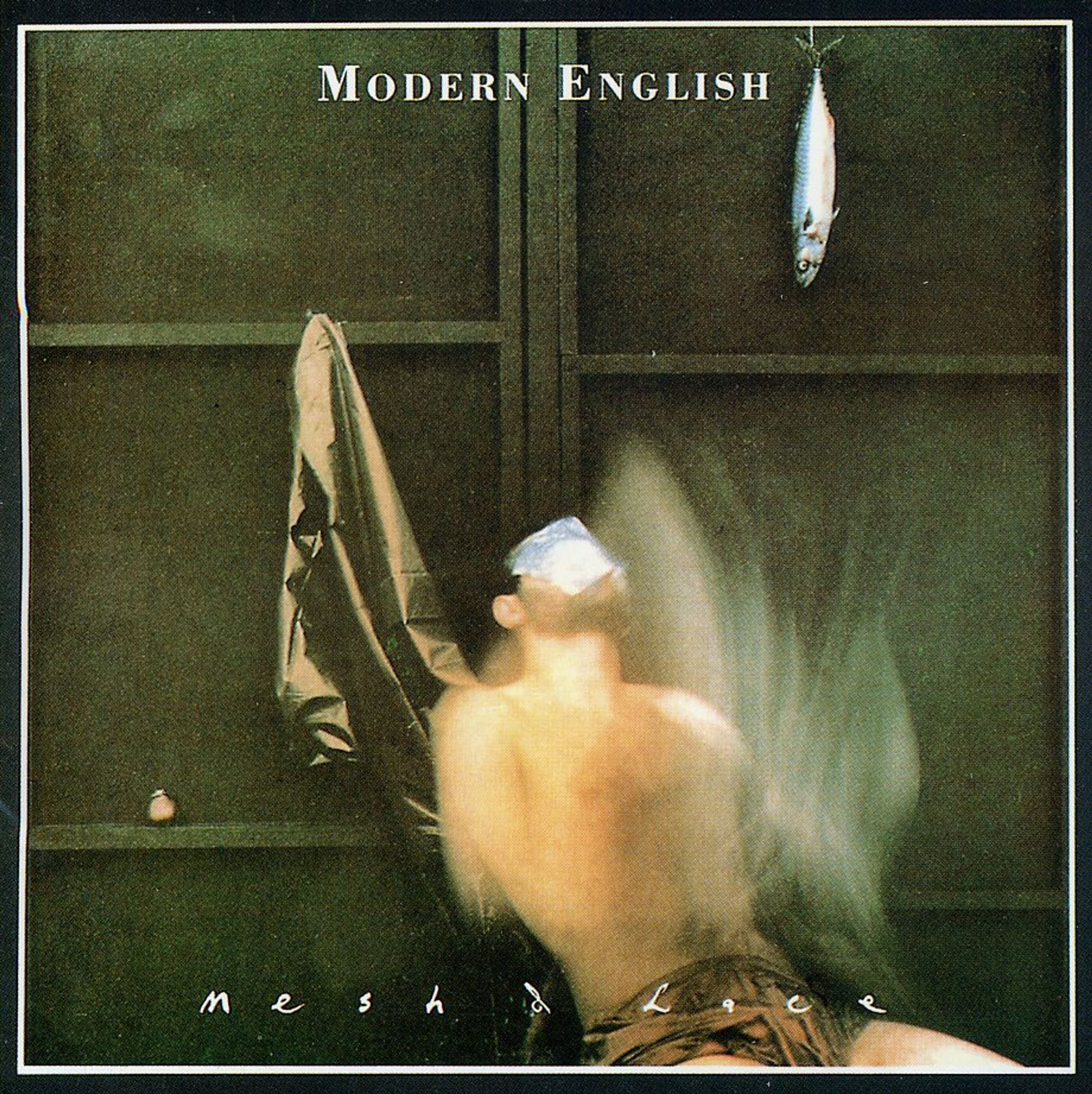Modern English – Mesh & Lace